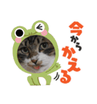友愛会シリーズ（個別スタンプ：24）