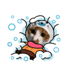 むむ冬バージョン（個別スタンプ：2）