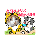 むむ冬バージョン（個別スタンプ：4）