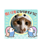 むむ冬バージョン（個別スタンプ：5）