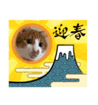 むむ冬バージョン（個別スタンプ：7）
