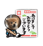 第ニ（個別スタンプ：11）