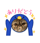 herme's dairy 3（個別スタンプ：5）
