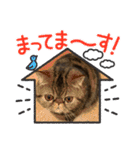 herme's dairy 3（個別スタンプ：8）