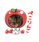 herme's dairy 3（個別スタンプ：13）