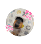 プリティーそらくん（個別スタンプ：16）