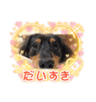プリティーそらくん（個別スタンプ：17）