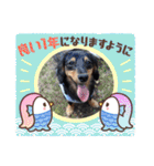 プリティーそらくん（個別スタンプ：24）