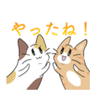 勢いのあるゆるいねこ（個別スタンプ：13）