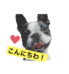 GO☆GOヨウちゃん！！（個別スタンプ：1）