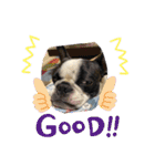 GO☆GOヨウちゃん！！（個別スタンプ：3）