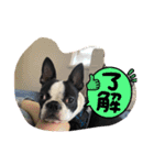 GO☆GOヨウちゃん！！（個別スタンプ：7）