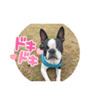 GO☆GOヨウちゃん！！（個別スタンプ：8）