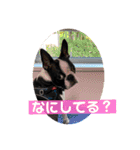 GO☆GOヨウちゃん！！（個別スタンプ：13）