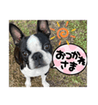 GO☆GOヨウちゃん！！（個別スタンプ：14）
