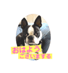 GO☆GOヨウちゃん！！（個別スタンプ：22）