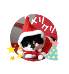 ねこ大好き〜オペラ2（個別スタンプ：1）