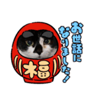 ねこ大好き〜オペラ2（個別スタンプ：5）