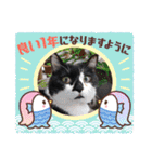 ねこ大好き〜オペラ2（個別スタンプ：8）