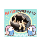 ねこ大好き〜オペラ2（個別スタンプ：9）