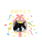 ねこ大好き〜オペラ2（個別スタンプ：15）