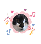 ねこ大好き〜オペラ2（個別スタンプ：19）