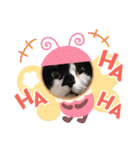 ねこ大好き〜オペラ2（個別スタンプ：21）