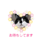 ねこ大好き〜オペラ2（個別スタンプ：23）