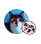 ねこ大好き〜オペラ2（個別スタンプ：28）