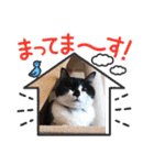 ねこ大好き〜オペラ2（個別スタンプ：32）