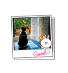 ねこ大好き〜オペラ2（個別スタンプ：34）