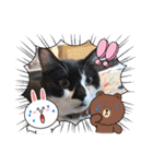 ねこ大好き〜オペラ2（個別スタンプ：35）