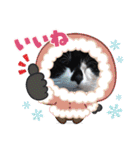 ねこ大好き〜オペラ2（個別スタンプ：39）