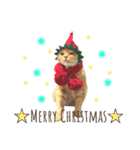 あまもっちゃんの年末年始（個別スタンプ：1）