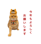 あまもっちゃんの年末年始（個別スタンプ：5）