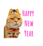 あまもっちゃんの年末年始（個別スタンプ：8）