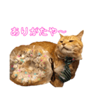 あまもっちゃんの年末年始（個別スタンプ：10）