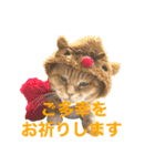 あまもっちゃんの年末年始（個別スタンプ：14）