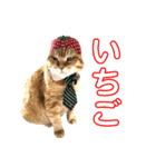 あまもっちゃんの年末年始（個別スタンプ：15）