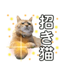 あまもっちゃんの年末年始（個別スタンプ：16）