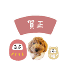 ♡かとう様（個別スタンプ：5）