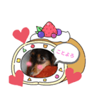 ココアちゃん☆（個別スタンプ：7）