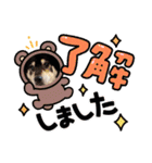 ♡黒柴龍太郎♡3（個別スタンプ：17）
