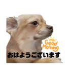 ちゃぴ5の1（個別スタンプ：3）