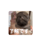 ちゃぴ5の1（個別スタンプ：9）