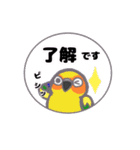 インコ大盛りで☆ぶんちゃんず（個別スタンプ：14）