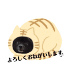 イヌのスタンプ 黒ポメとビジョンフリーゼ（個別スタンプ：24）