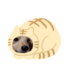 キュ一トな犬スタンプ（個別スタンプ：1）