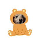 キュ一トな犬スタンプ（個別スタンプ：3）