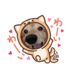 キュ一トな犬スタンプ（個別スタンプ：5）
